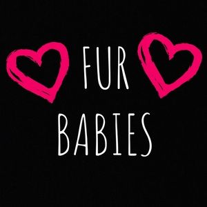 Smoke-free, pet friendly home!